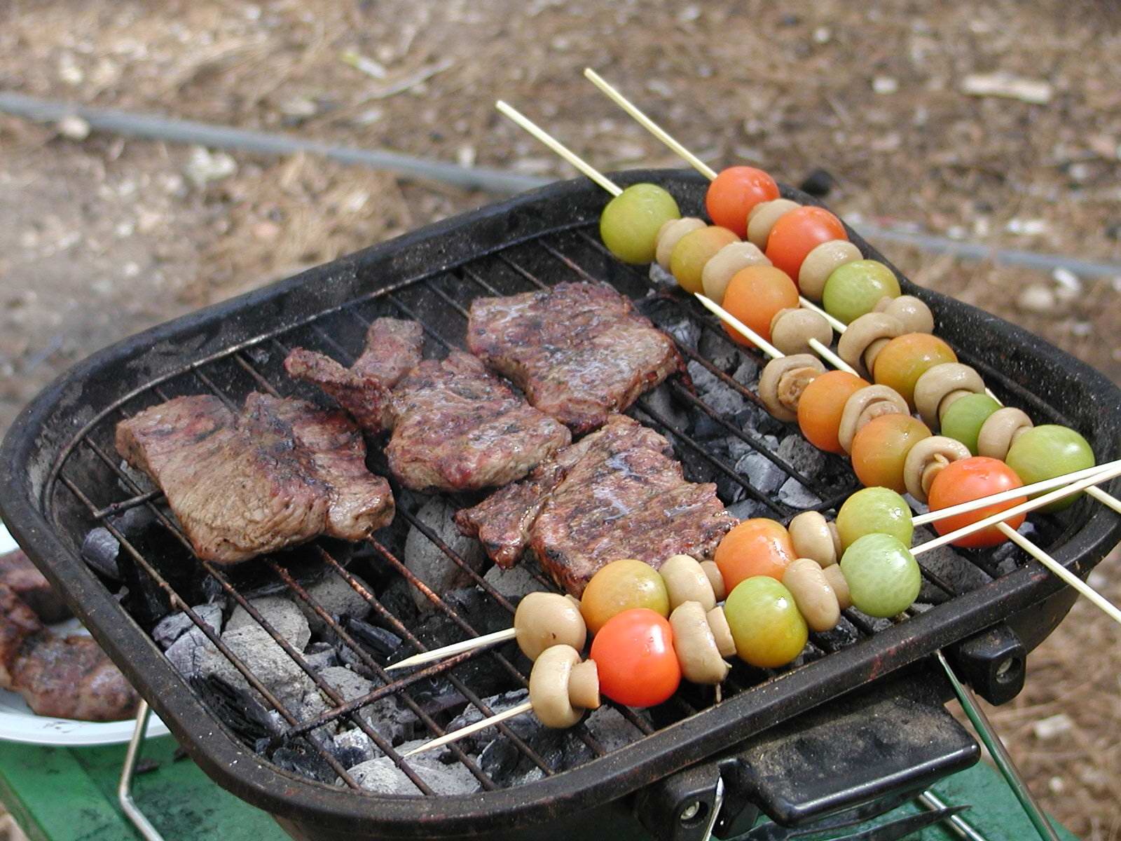 shishlik2