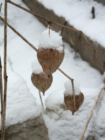 хмурое утро