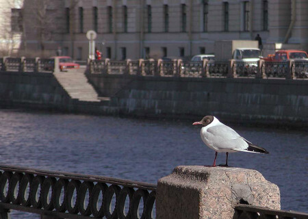 St-Petersburg, city centr e