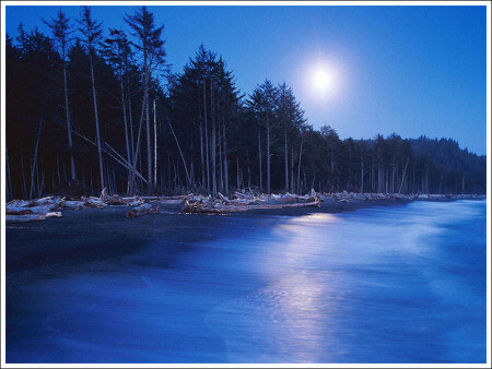 Ночной берег