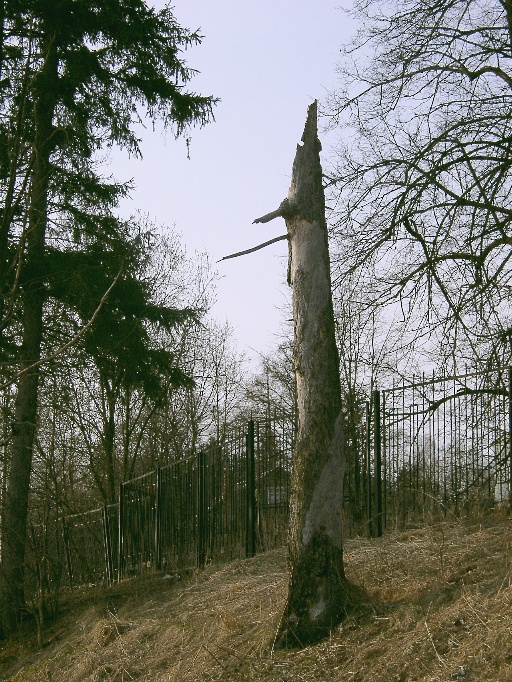 Обелиск