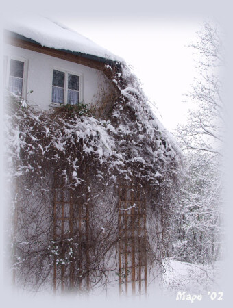 Укутанные снегом