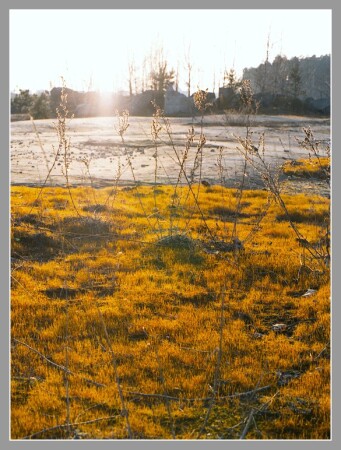 весенний пейзаж