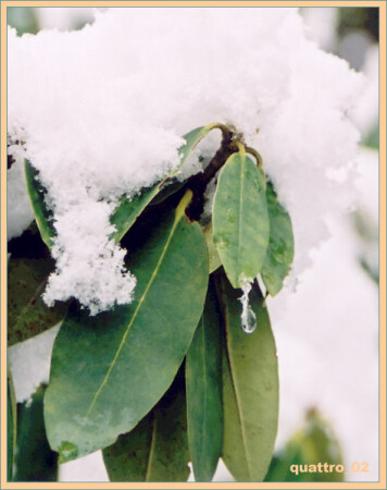 Неожиданный снег