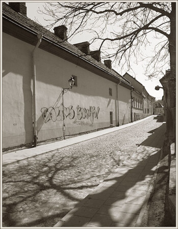 Тени в полдень