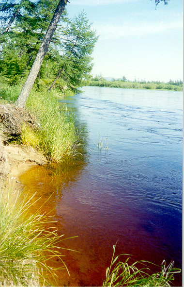 берег