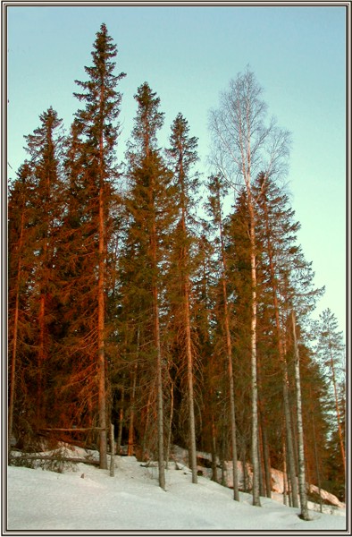 В лучах утреннего солнца