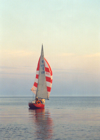 Белая ночь.