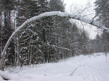 Ворота в рай!