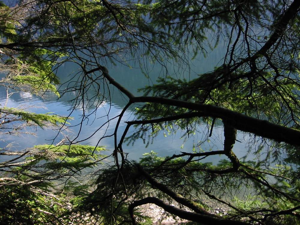 Alouette Lake