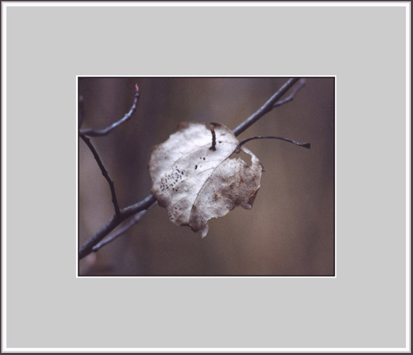 postscriptum
