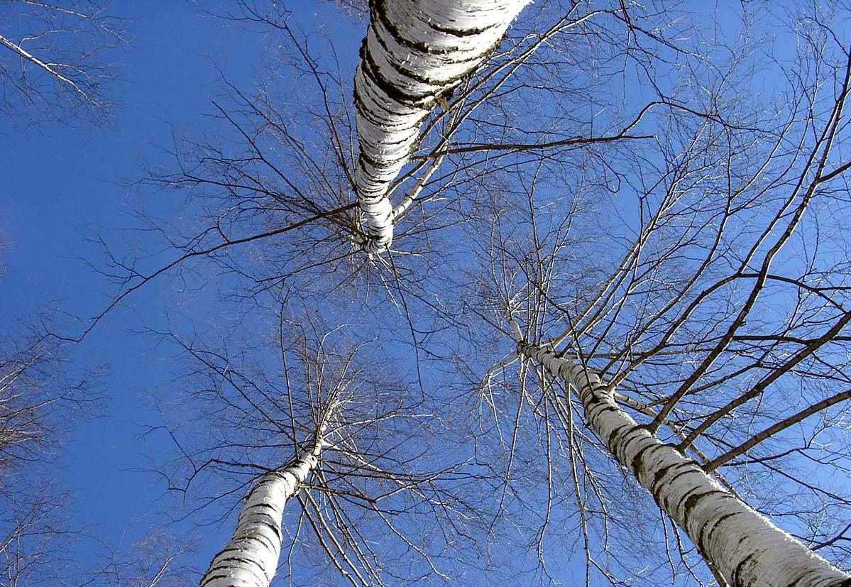 С добрым утром ...