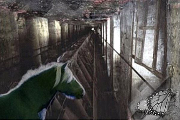 в конюшне, как в конюшне...
