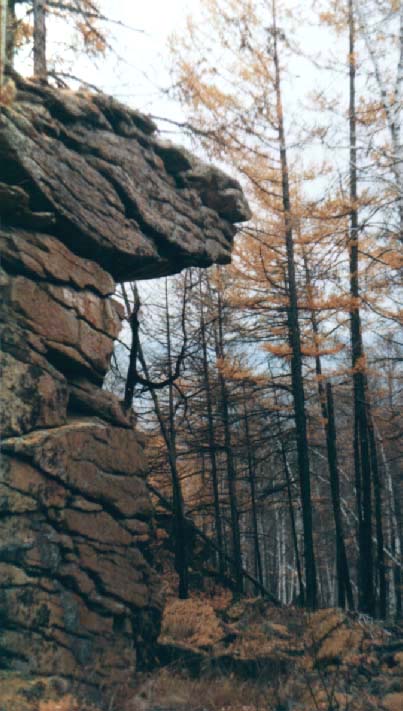 Забайкальская осень