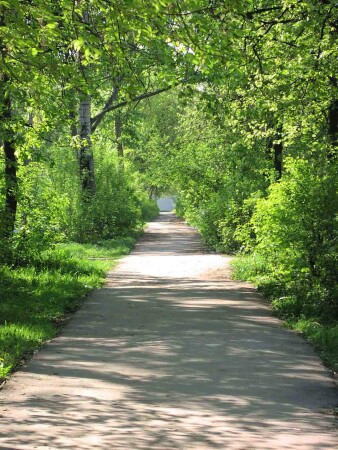 весенний тоннель