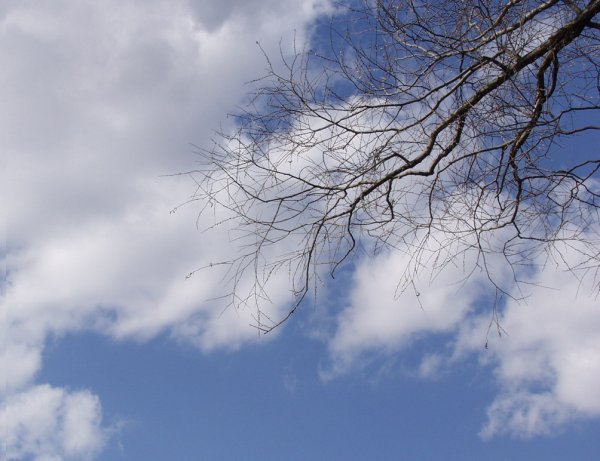 Up