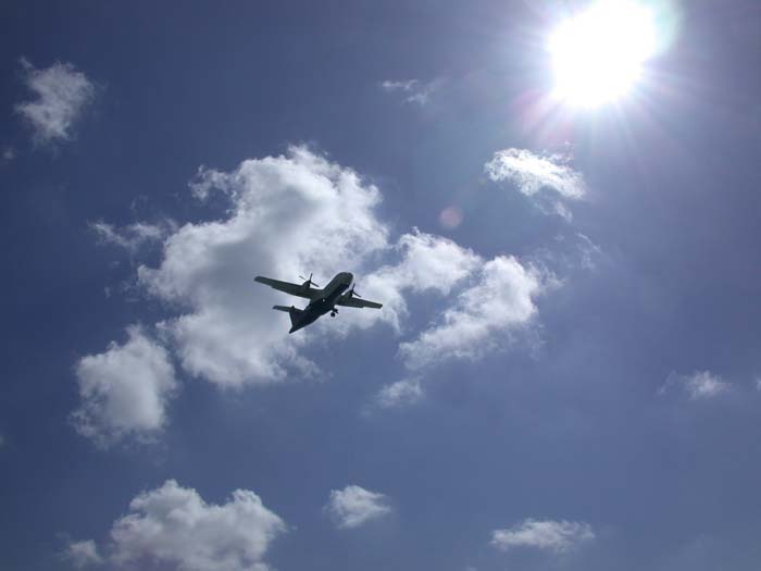 Fly & Sun