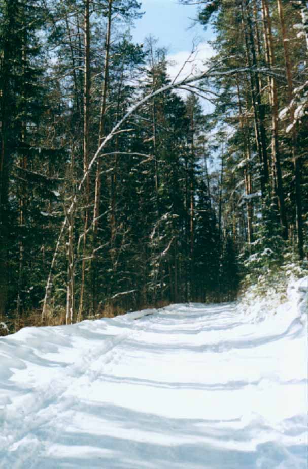 "Дорога"