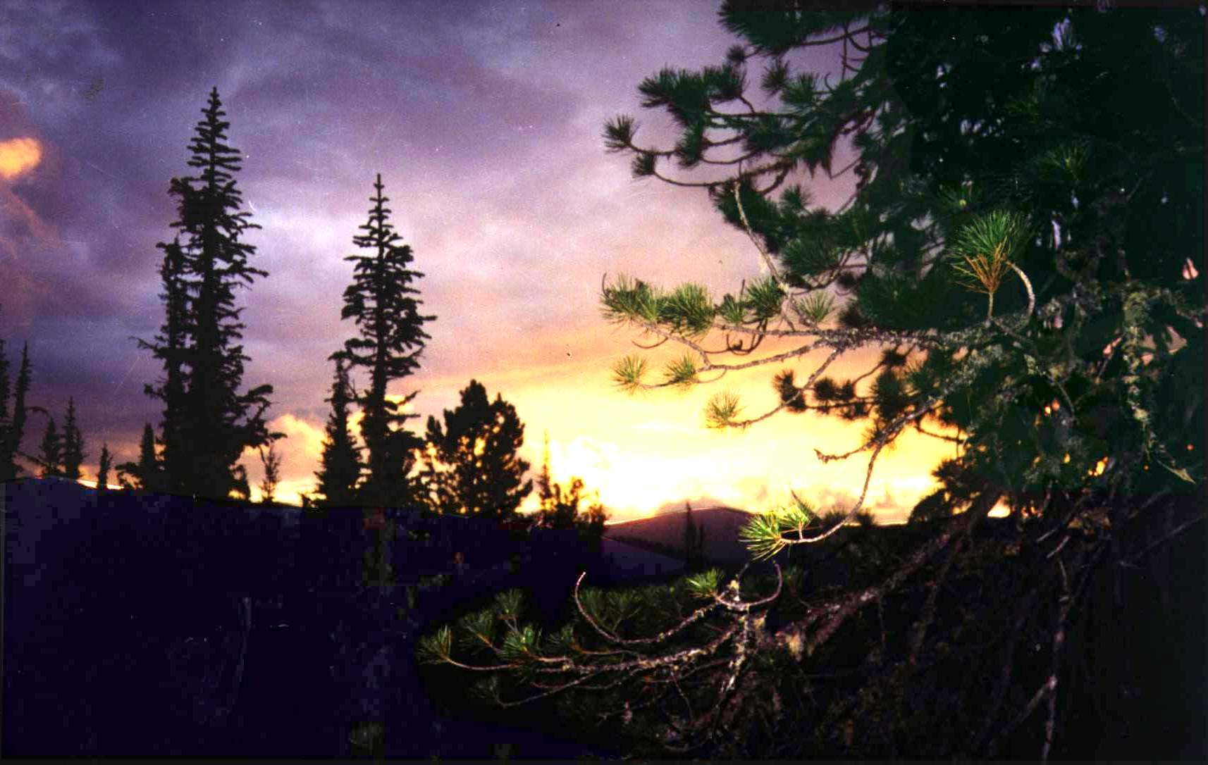 sunset