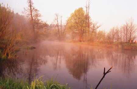 Туман над рекой.