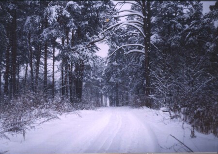 дорога вдаль