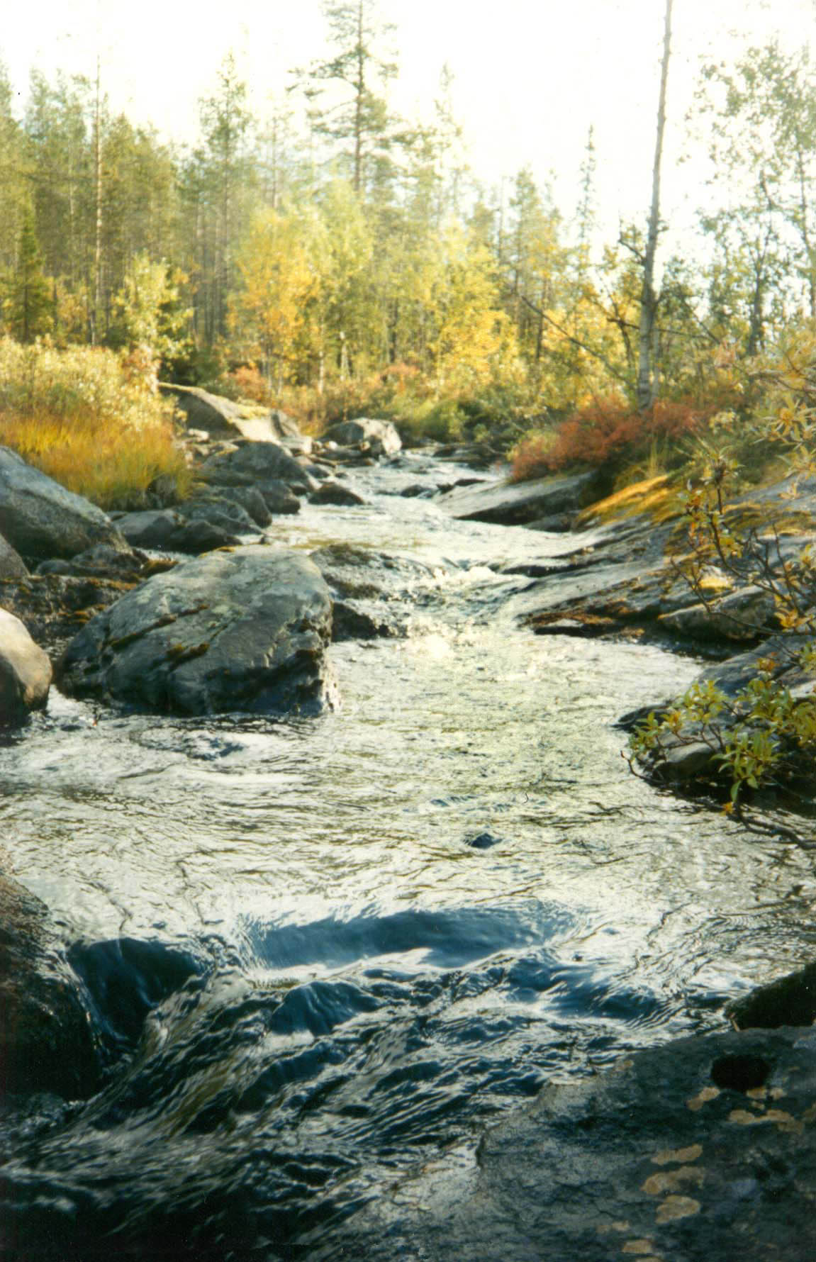 Река
