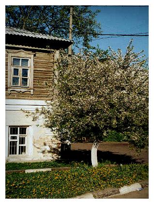Провинция 1.