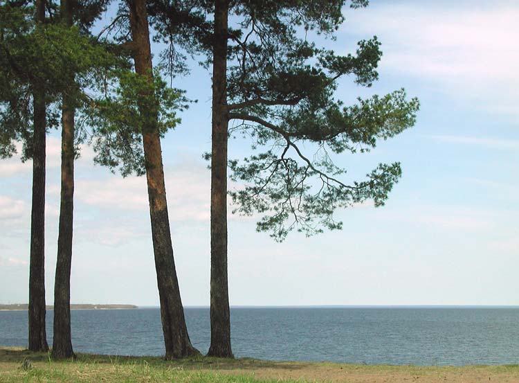 Ladoga (2)
