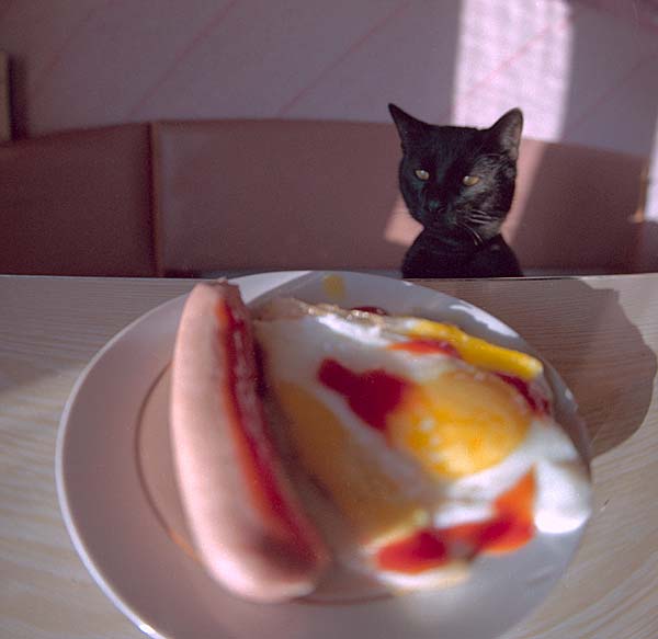 Плотские желания