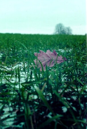 Далеко от дома