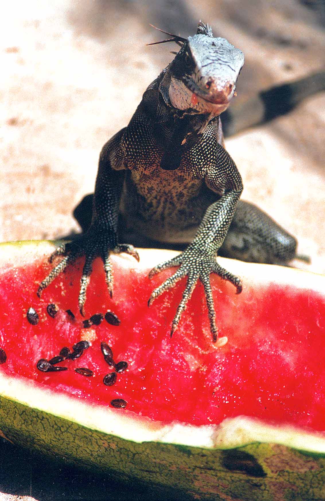МОЁ!