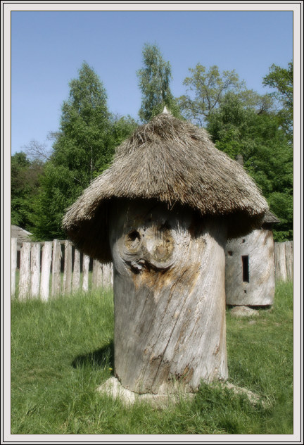 Старичок лесовичок