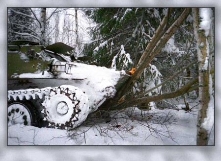 По живому