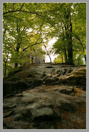 Чехия [8] - Кокоржин