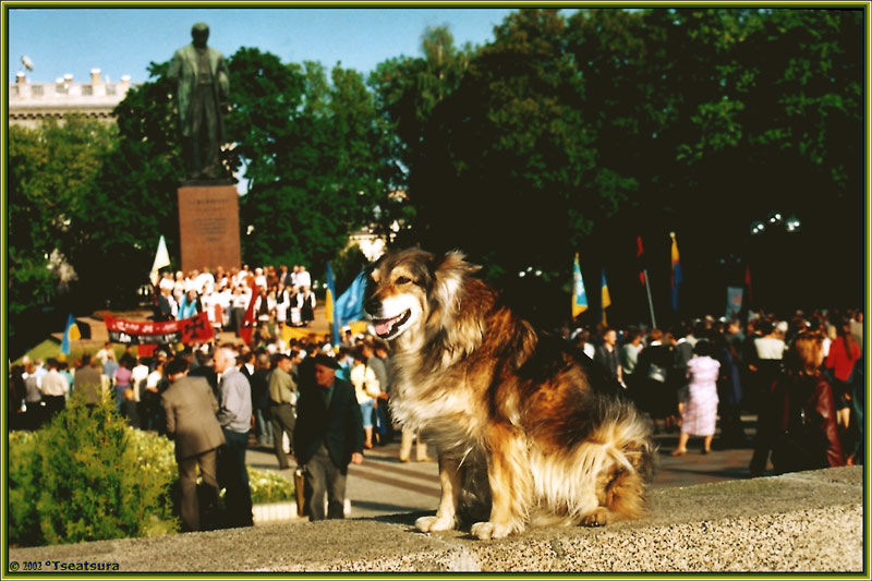 На страже