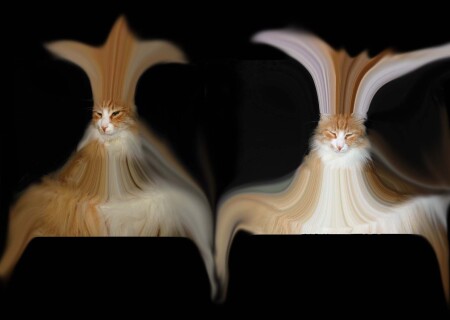 ,,Из жизни Шерифа,,