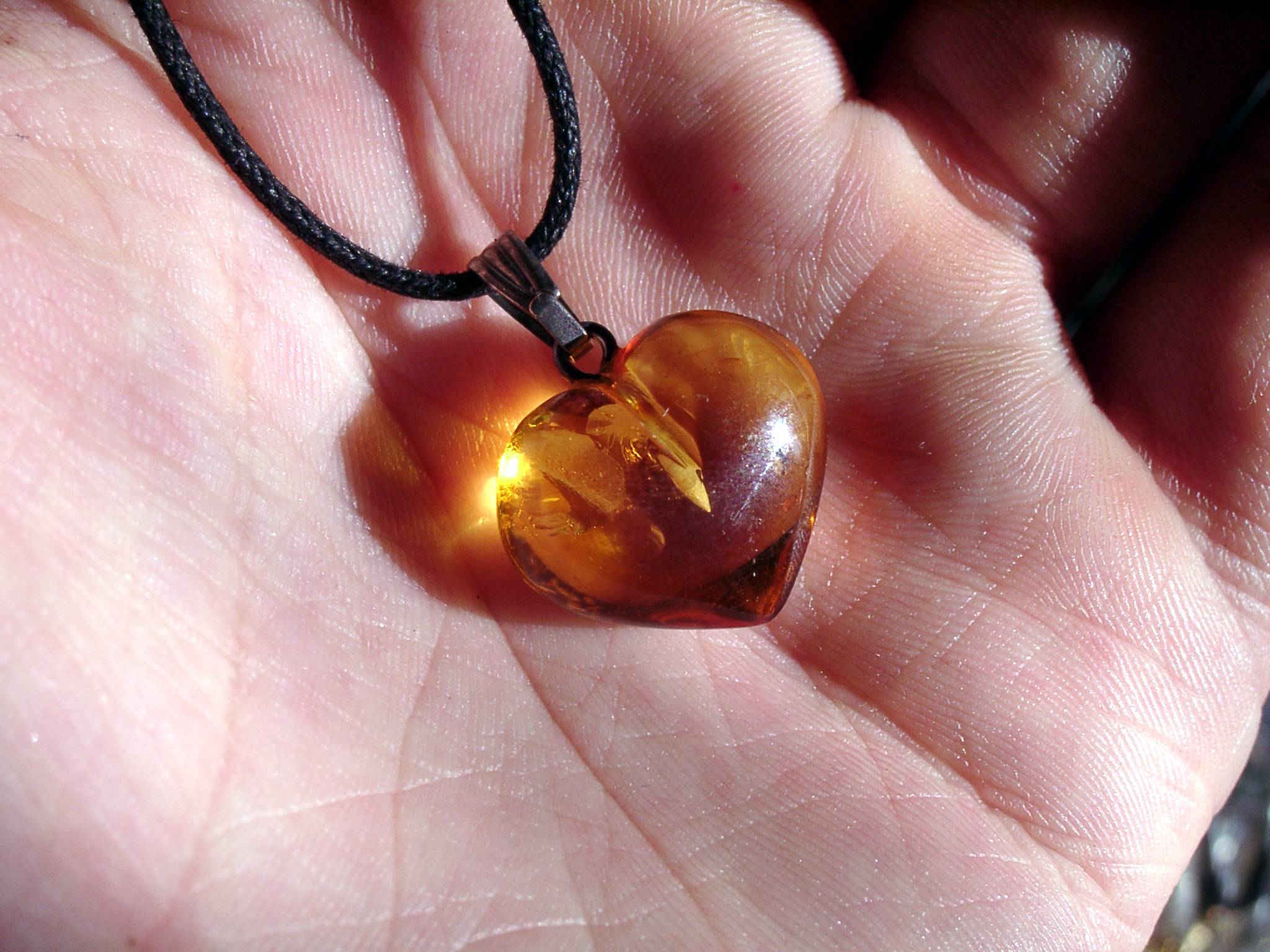 Сердце
