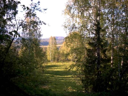 Вечер