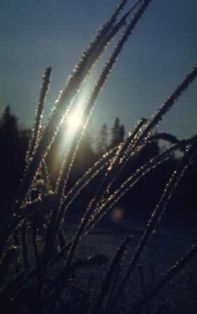 Северное солнце