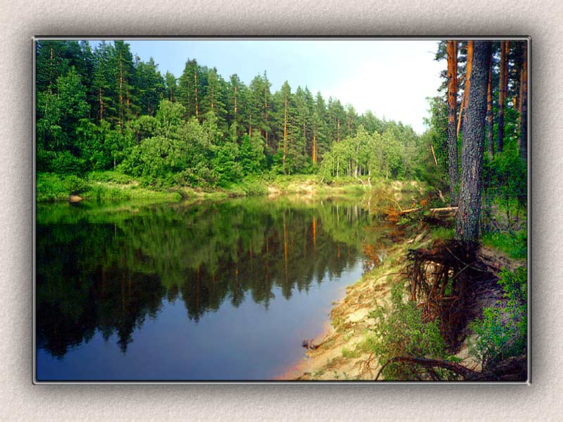 Пахнет рекой и соснами.Вечереет.