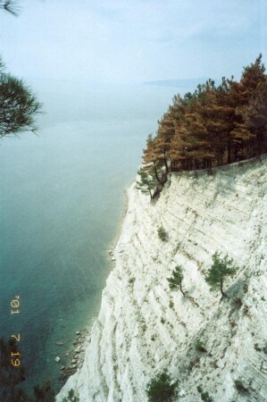 неястность