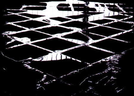 dark_cells