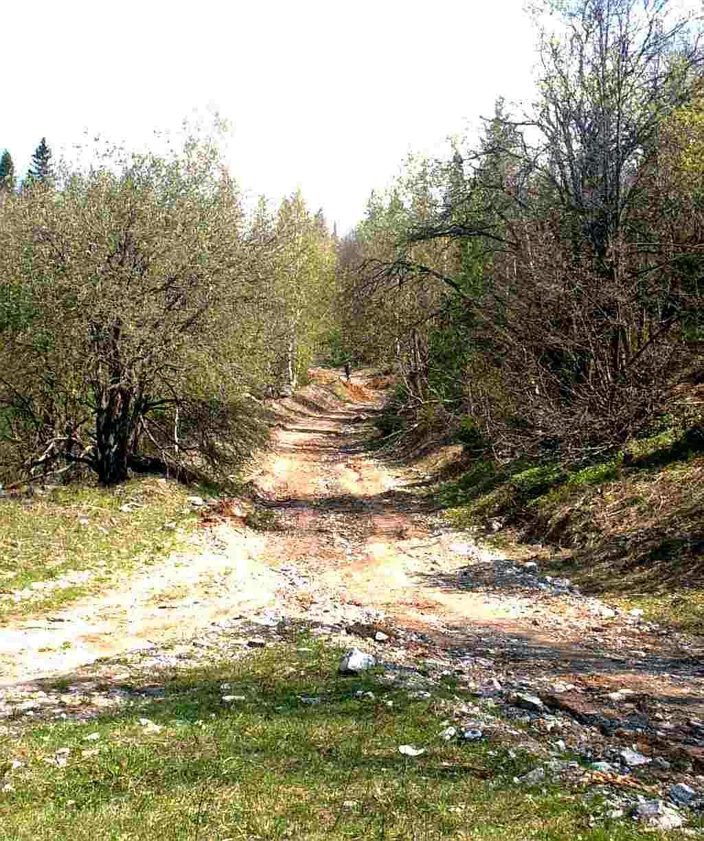Перекресток