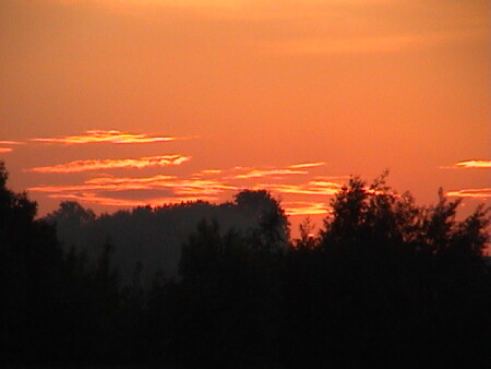 Оранжевое небо