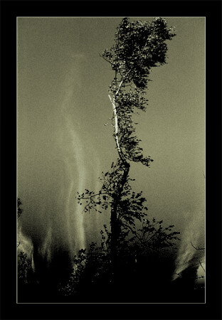 UNFAMILIAR WIND