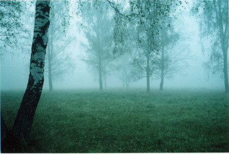 Утро туманное...