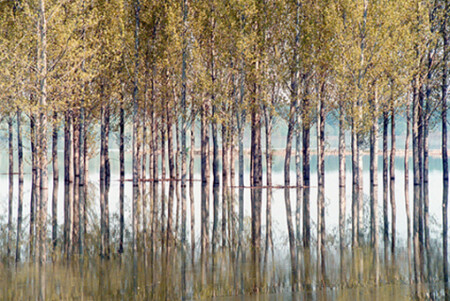 Разлив Дуная