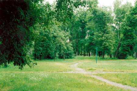 просто парк