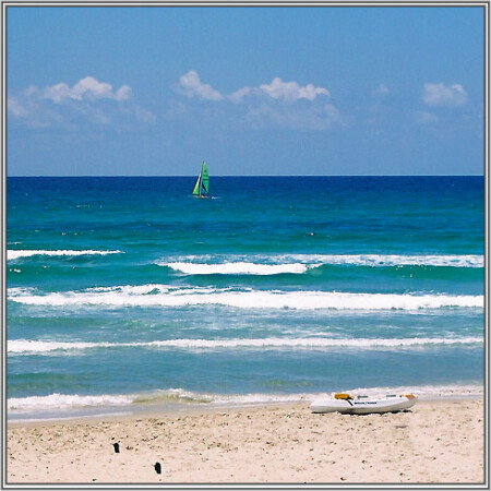 Sail+