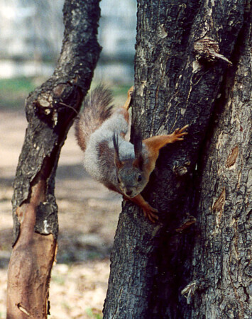 как в старые времена